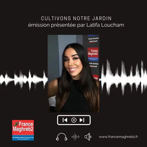 LES CONSEQUENCES DE LA CANICULE SUR NOTRE ENVIRONNEMENT