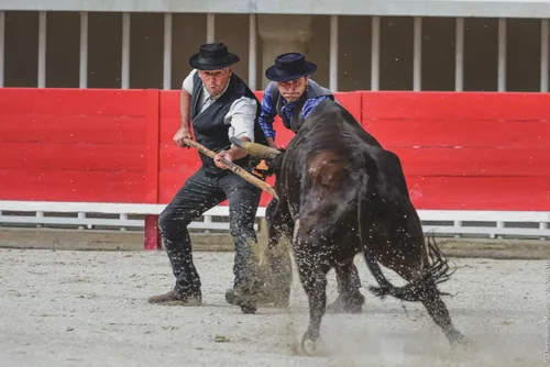[ SOCIÉTÉ ]: Le trophée des Gardians ce soir aux arènes d'Arles.
