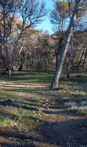 [ ENVIRONNEMENT ] Incendie de la Montagnette: L'heure du bilan...