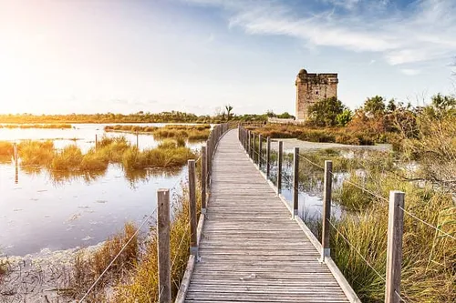 [ SOCIÉTÉ ]: Bonne nouvelle pour les hôteliers Camarguais.