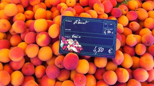 [ SOCIETE/ECONOMIE ] France: Les producteurs tirent la sonnette...