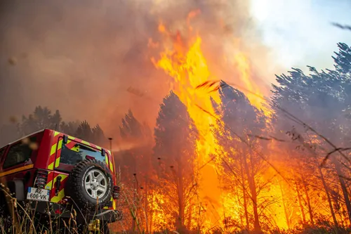 [ ENVIRONNEMENT ] Incendie en Gironde: Une catastrophe humaine,...