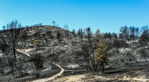 [ JUSTICE ] Incendie Montagnette: Le maire de Barbentane,...