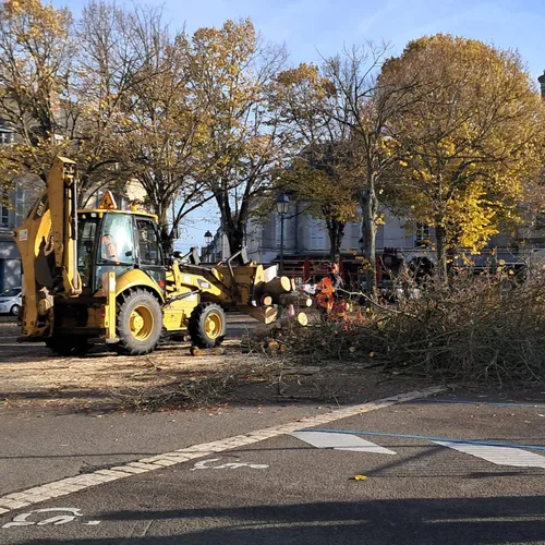 Trois arbres abattus place du 18 octobre à Châteaudun
