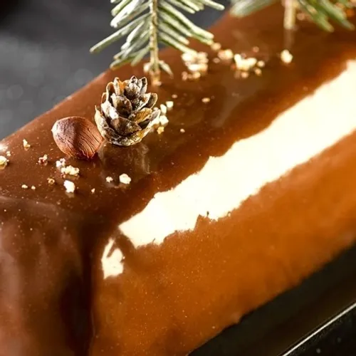 Bûche glacée vanille