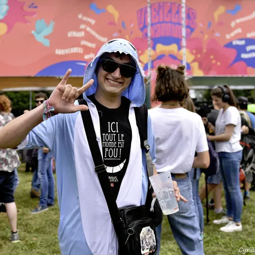 Vieilles Charrues 2017