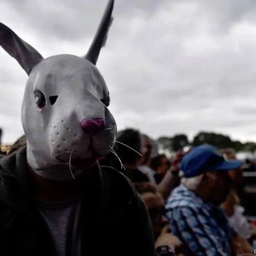 Vieilles Charrues 2017