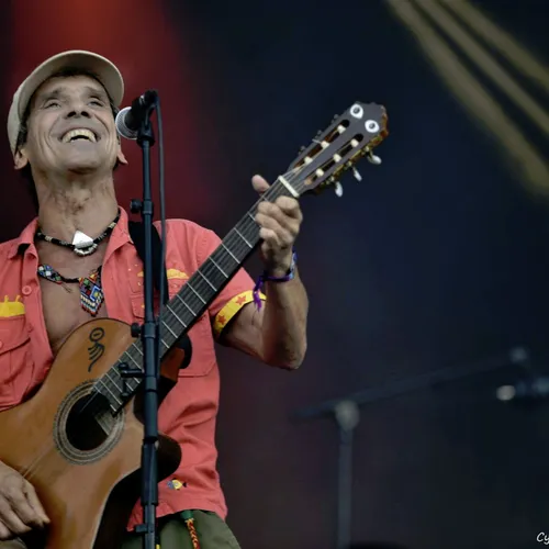 Vieilles Charrues 2017