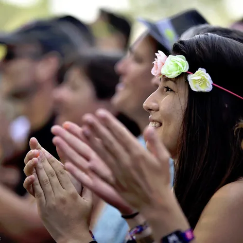 Vieilles Charrues 2017