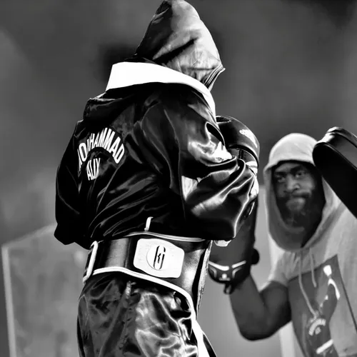 Vieilles Charrues 2017