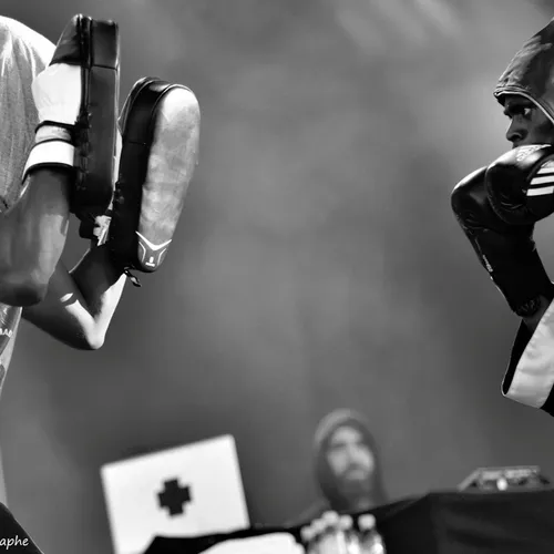 Vieilles Charrues 2017