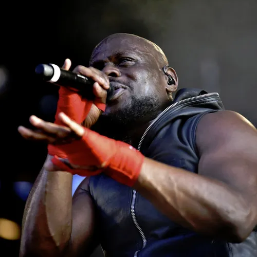 Vieilles Charrues 2017