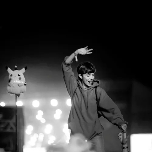 Vieilles Charrues 2017