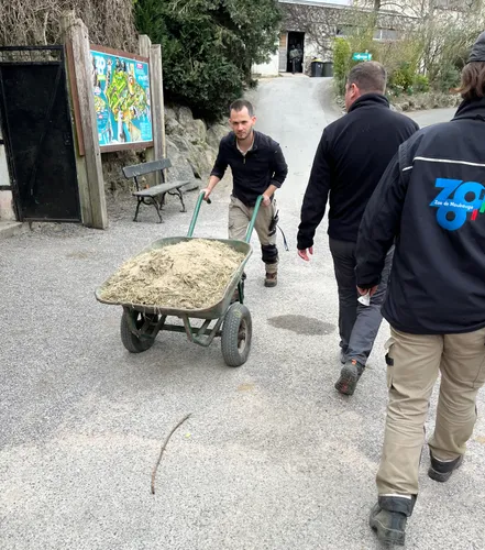 Maubeuge – Dans les coulisses du Parc Zoologique avant sa...