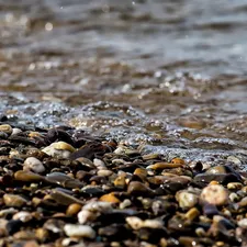 Pourquoi y a-t-il des plages de sable et des plages de galets ?