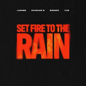 CHARLES B ET SES REMIXES CLASSIQUES TECHNO