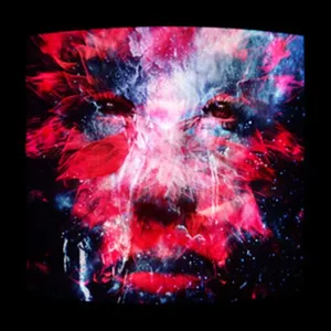 PNAU ET MEDUZA UNISSENT LEURS UNIVERS POUR ROLLIN