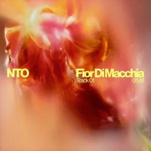 NTO SIGNE SON RETOUR AVEC LE SINGLE FIOR DI MACCHIA