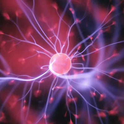 LA SCIENCE S'INVITE SUR LES DANCEFLOORS