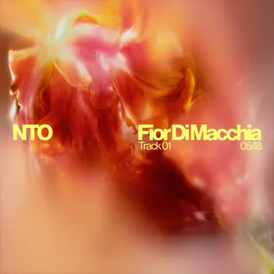 NTO SIGNE SON RETOUR AVEC LE SINGLE FIOR DI MACCHIA