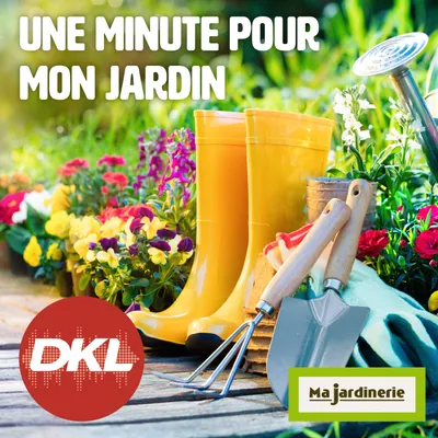 La préparation des bassins en hiver -29 12 2024