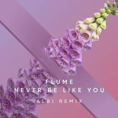 LE TITRE "NEVER BE LIKE YOU" DE FLUME FÊTE SES 10 ANS
