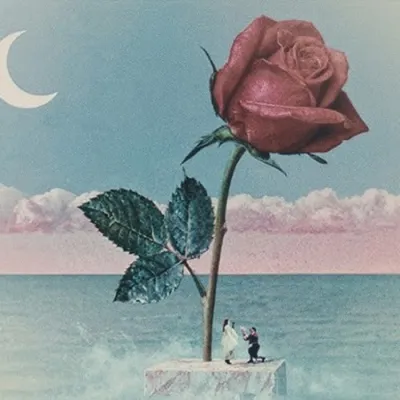 TOVE LO COLLABORE AVEC STROMAE SUR LE TITRE « DES FLEURS »