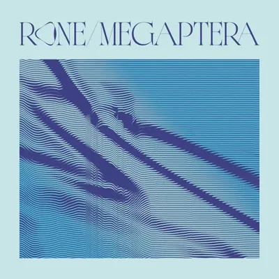 FG MUSIC STORY QUELQUES ACTUALITÉS MUSICALES : RONE ET SON PROJET...