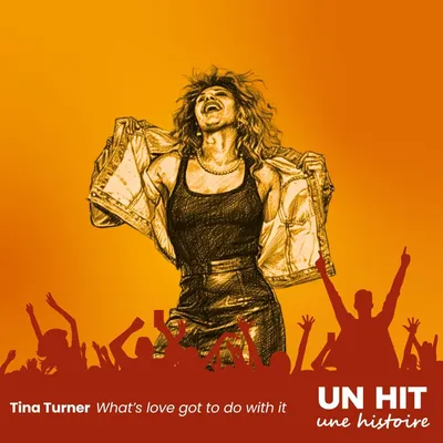 What’s love got to do with it – Tina Turner : une chanson refusée...