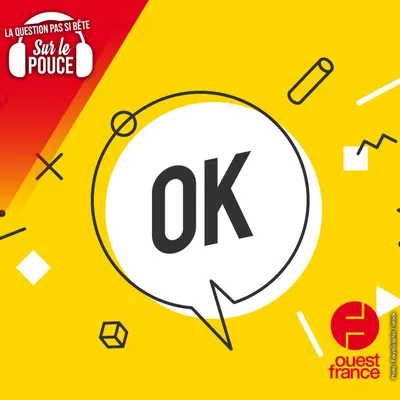 Pourquoi dit-on "ok" ?