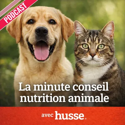 La stérilisation