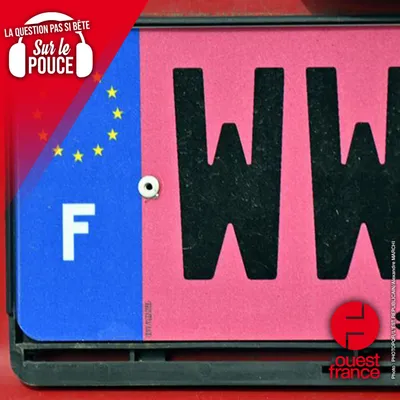 Pourquoi certaines plaques d'immatriculation sont-elles roses ?