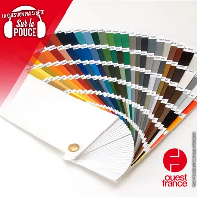 Quelle est la couleur la plus moche du monde ?