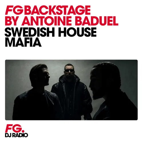 INTERVIEW : SWEDISH HOUSE MAFIA