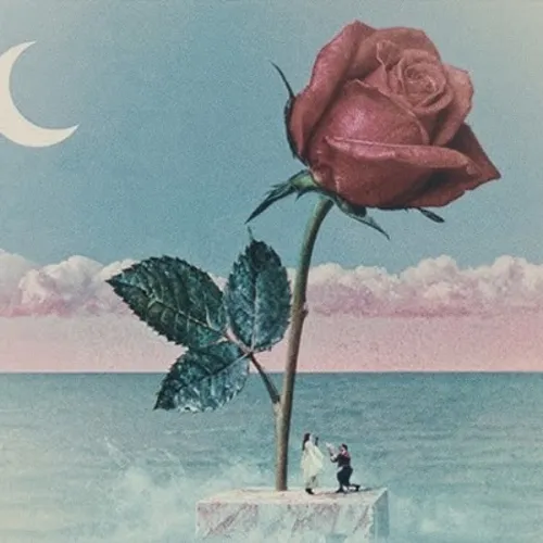 TOVE LO COLLABORE AVEC STROMAE SUR LE TITRE « DES FLEURS »