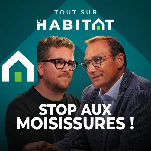 Humidité dans les murs : pourquoi il ne faut surtout pas attendre...