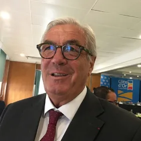 François Sauvadet : « Certaines normes environnementales sont...