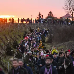 Tout savoir sur la Saint-Vincent Tournante, qui arrive ce week-end...