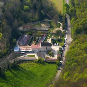 Messigny : chiens et chats attendent leur nouvelle famille ce week-end