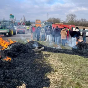 « Notre but est d'accompagner les agriculteurs » : découvrez le...
