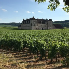 Pour quelles raisons vient-on s’installer en Côte d’Or ?