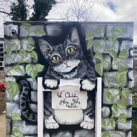 Une initiative pour aider les chats errants à Dijon