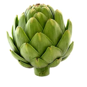 Pourquoi dit-on « avoir un cœur d'artichaut »  ?