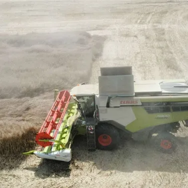 « On travaille de nuit pour éviter la chaleur » : cet agriculteur...