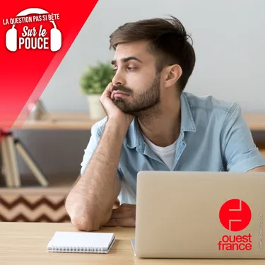 Pourquoi avons-nous la flemme ?
