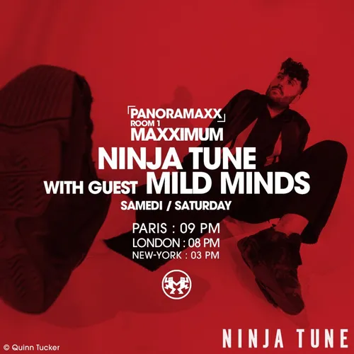 PANORAMAXX : MILD MINDS