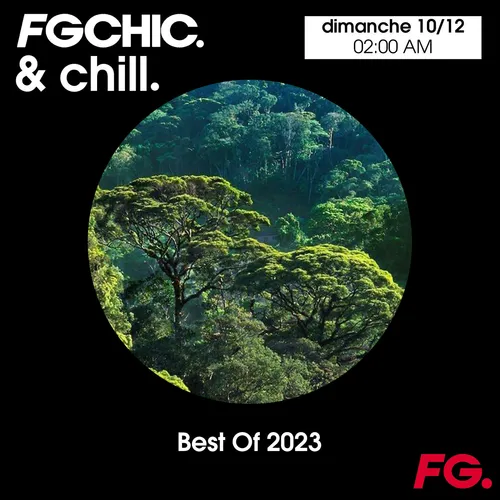 FG CHIC & CHILL MIX BEST OF 2023
