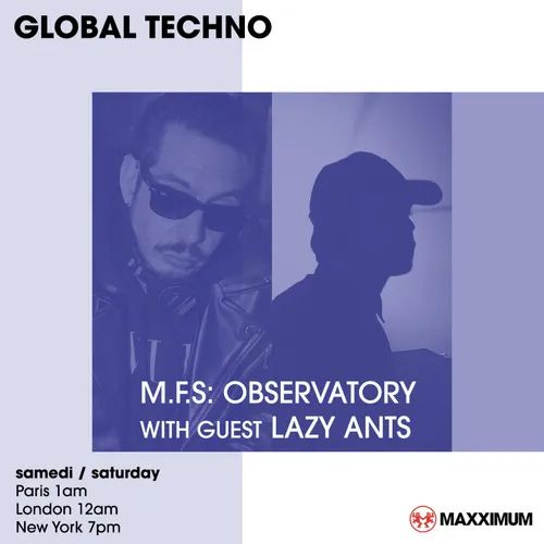 GLOBAL TECHNO : LAZY ANTS