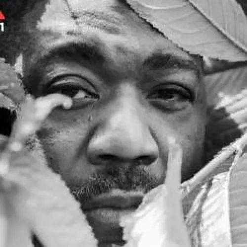 PANORAMAXX : CHEZ DAMIER