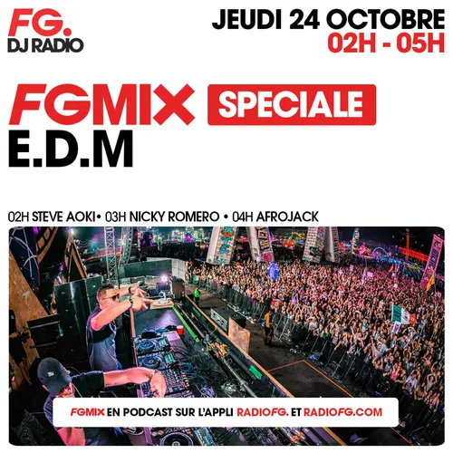 FG MIX SPÉCIAL E.D.M : STEVE AOKI